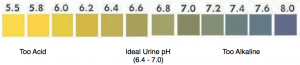 PH Testing For Vibrant Health, and Pain-Free Living