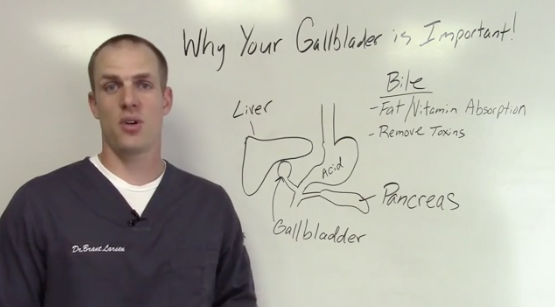 Minnesota Digestion - Why your gallbladder is important | Dr. Brant Larsen